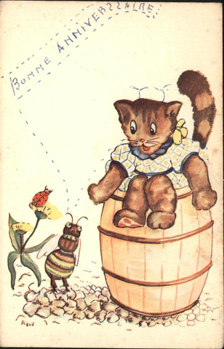 Katzen Maikäfer Blume