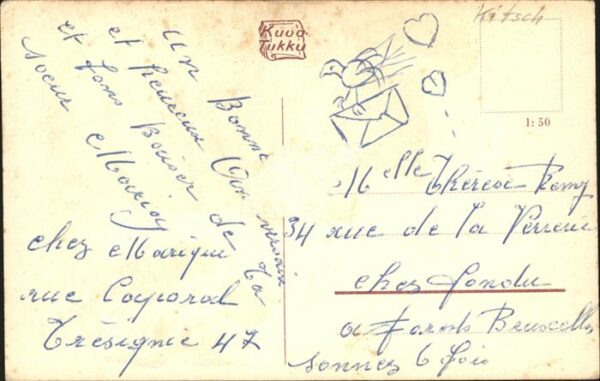 Katzen Maikäfer Blume – Bild 2
