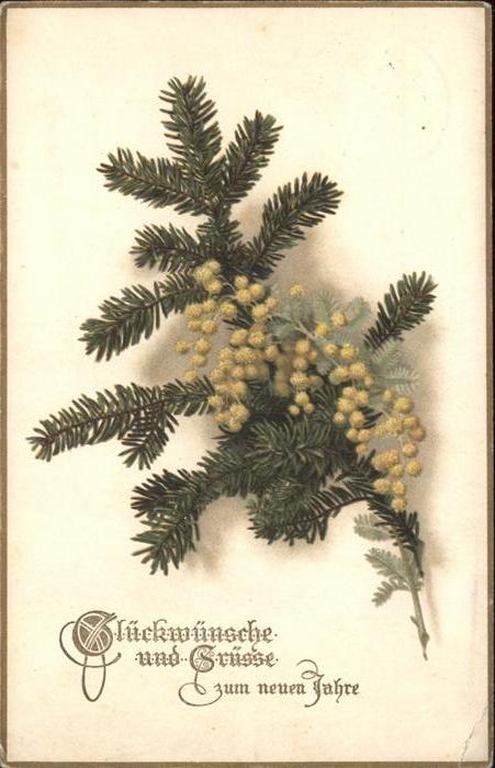 Neujahr Tannenzweig