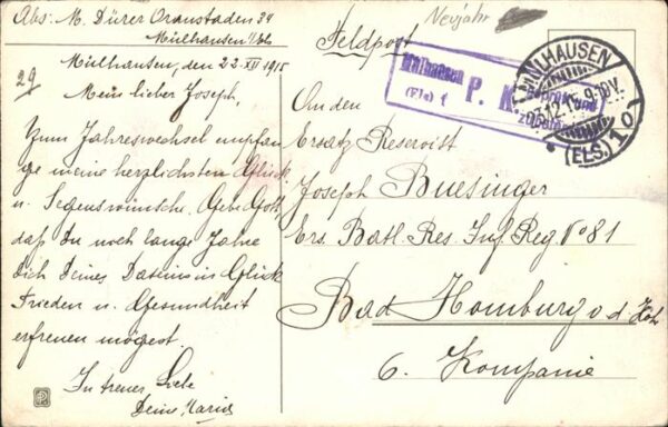 Neujahr Tannenzweig – Bild 2