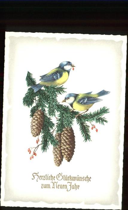 Voegel Neujahr Kiefernzapfen