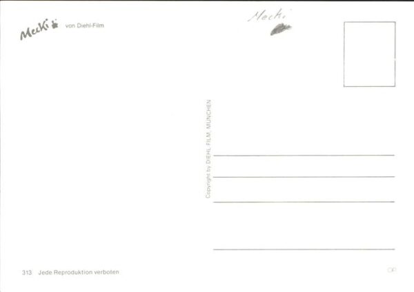 Mecki Nr. 313 Bergsteigen – Bild 2