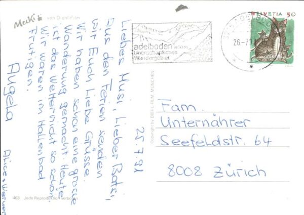 Mecki Nr. Auto Sonnenschirm – Bild 2