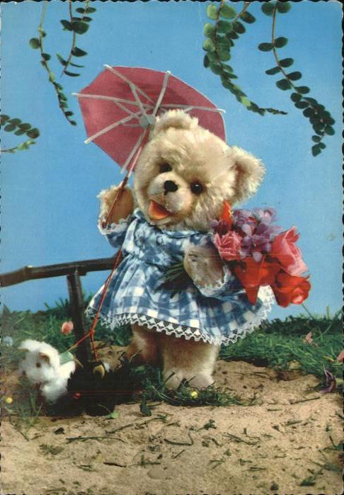Teddy Teddybaer Teddy-bear Sonnenschirm Hund Blumenstrauss