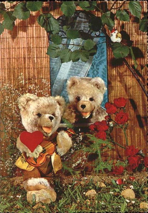 Teddy Teddybaer Teddy-bear Gitarre Rosen Herz Vogel