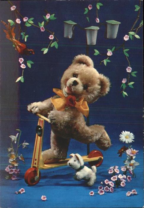 Teddy Teddybaer Teddy-bear Kinderroller Vögel Hund Blumen