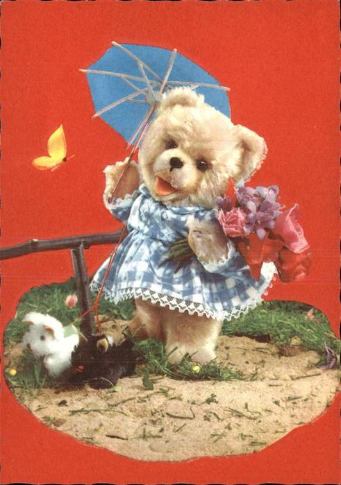 Teddy Teddybaer Teddy-bear Hunde Schmetterling Blumenstrauss Sonne