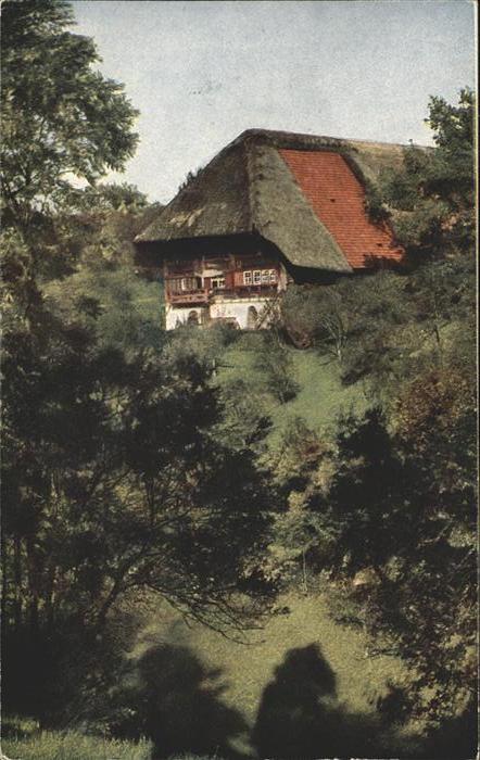 Schwarzwaldhaeuser Künstlerkarte Nr. 4250