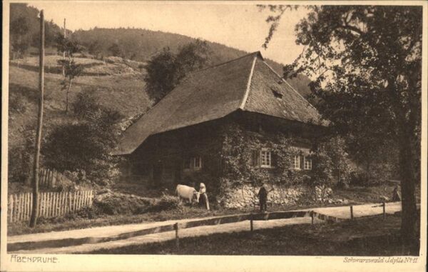 Schwarzwaldhaeuser Idylle Nr. 11 Abendruhe