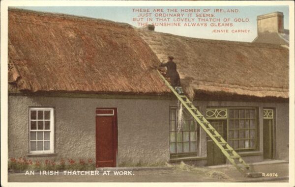 Berufe Dachder Irland
