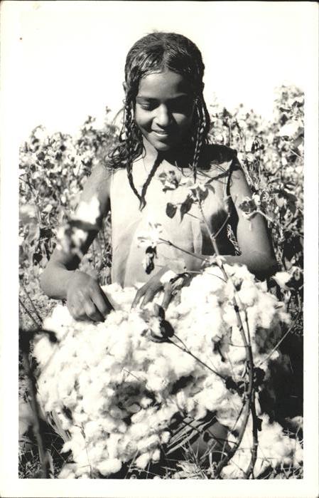 Baumwollpfluecker Cotton Pickers