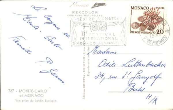 Kakteen Monte-Carlo Monaco Jardin Exotique – Bild 2