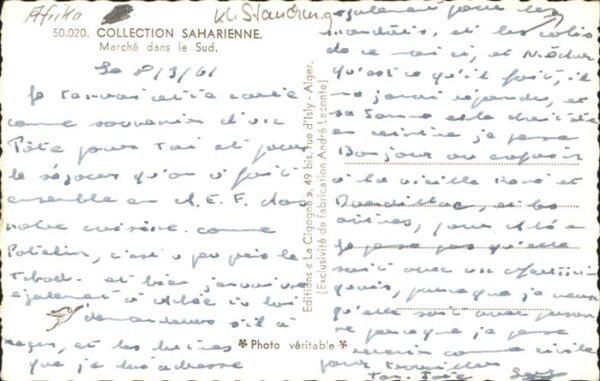 Schafe Afrika Collection Saharienne Marche – Bild 2
