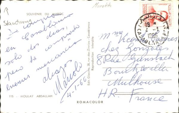 Kamel  Camel Chameau Marokko Moulay Abdallah – Bild 2