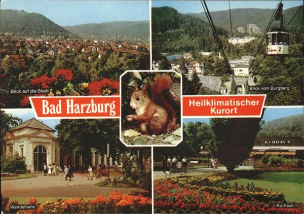 Eichhoernchen Seilbahn Bad Harzburg  Wandelhalle