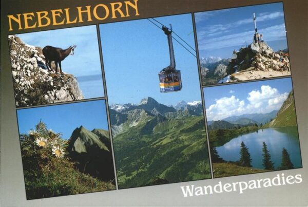 Seilbahn Nebelhorn Steinbock Oberstdorf Allgäuer