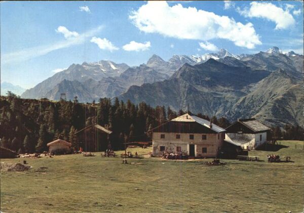 Schenna Meran Gasthaus Tallner Alm Hirzerhütte Sarnta
