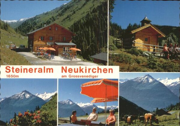 Neukirchen Grossvenediger Steineralm Kapelle Viehweide Kuh Alpenp