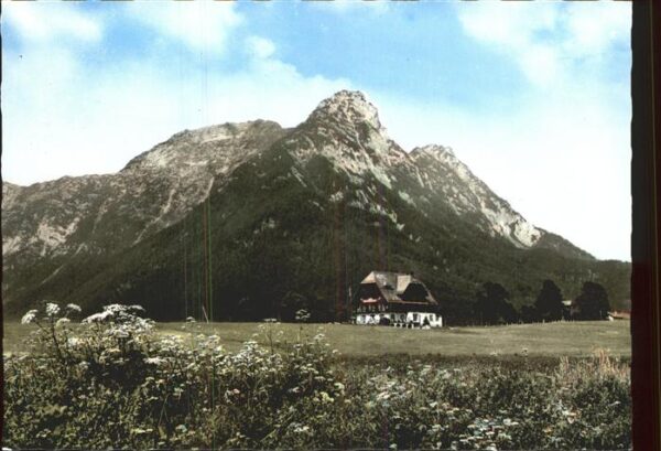 Bad Aussee Steiermark Alpenhotel Wasnerin mit Sarstein Dachst