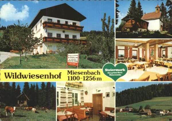 Miesenbach Birkfeld Gasthof Pension Wildwiesenhof Urlaub au