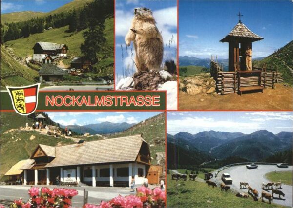 Innerkrems Krems Kaernten Nationalpark Nockalmstrasse Murmeltier