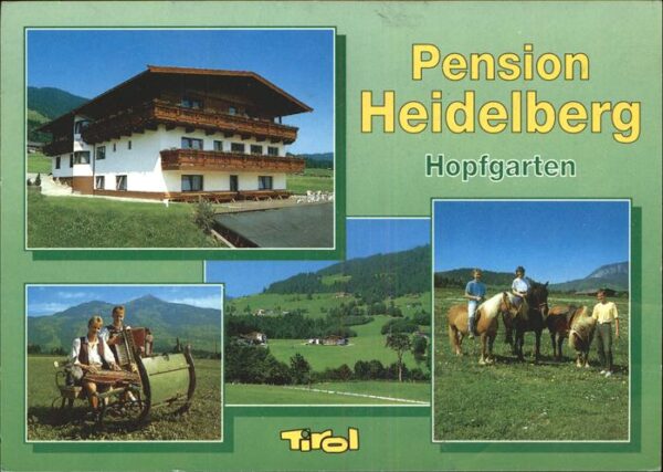 Hopfgarten Brixental Pension Heidelberg Pferd Reiten Schlitt