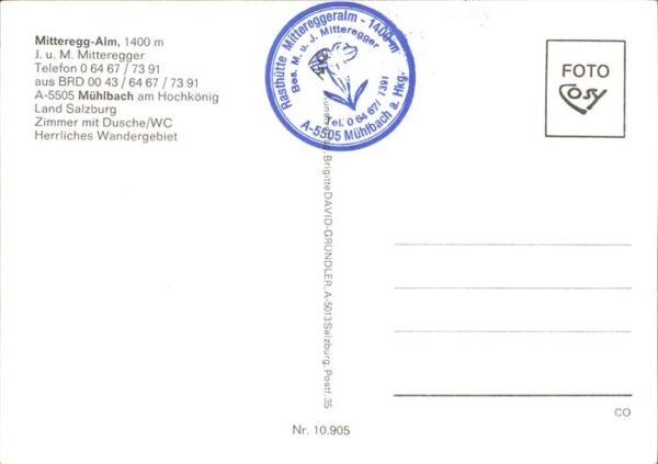 Muehlbach Hochkoenig Mitteregg Alm Berggasthof Alpenpanorama – Bild 2