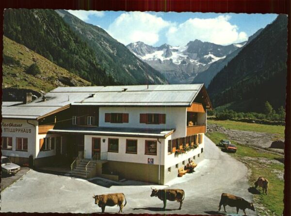 Mayrhofen Zillertal Alpengasthof Stillupphaus Keilbachspitz
