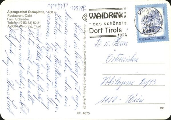 Waidring Tirol Alpengasthof Steinplatte Alpenblumen Wa – Bild 2