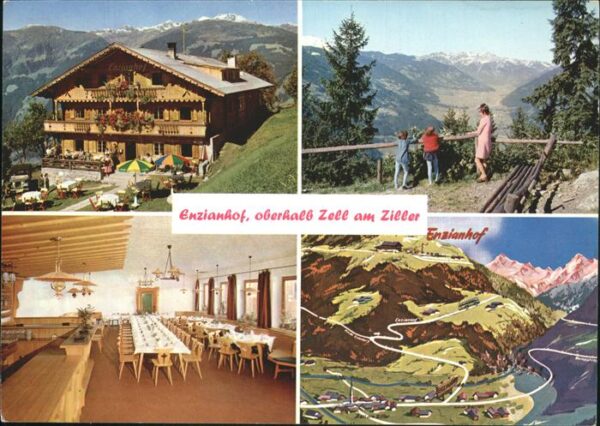 Zell Ziller Tirol Alpengasthof Enzianhof