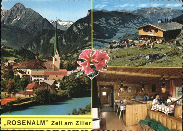 Zell Ziller Tirol Jausenstation Rosenalm Alpenblume Kuh