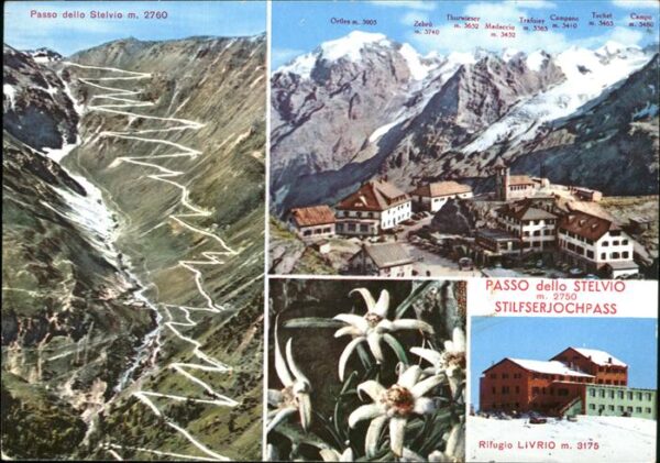 Prad Stilfserjoch Passo dello Stelvio Rifugio Livrio Edel