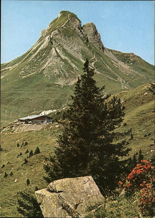Damuels Vorarlberg Berggasthaus Elsenalpstube Endstation U