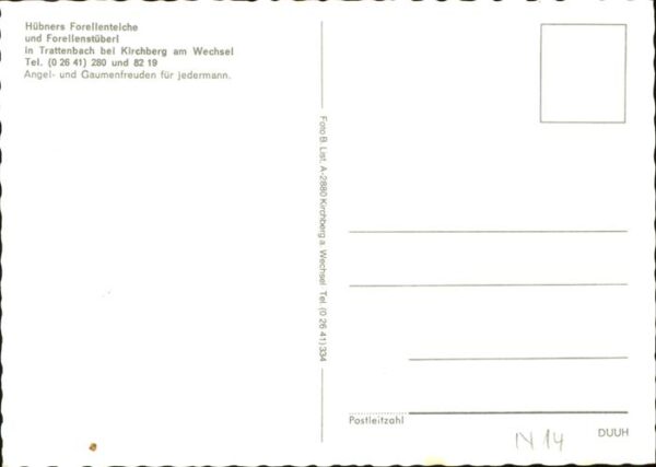 Trattenbach Forellenzentrum Wechselforelle Forellen – Bild 2