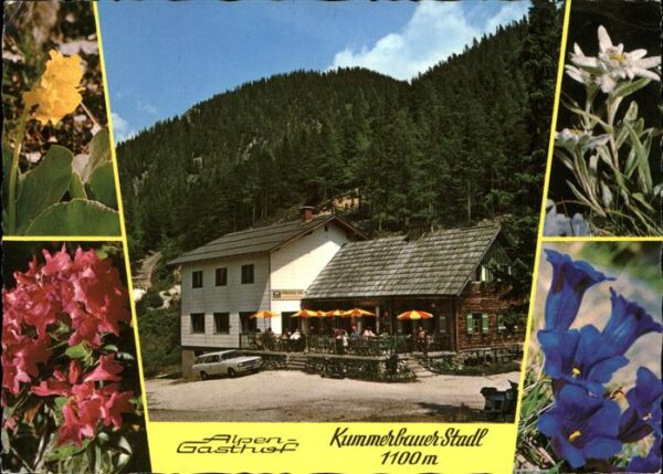 Trattenbach Alpengasthof Kummerbauer Stadl Edelweis