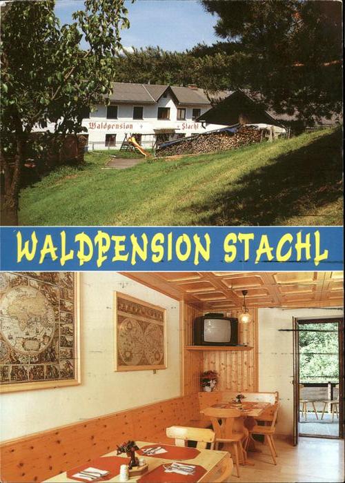 Hochwolkersdorf Waldpension Stachl