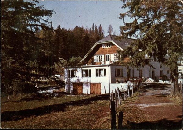 Gutenstein Niederoesterreich Berggasthof Mamauwiese