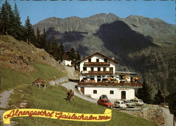 Soelden Alpengasthof Gaislachalm Kuh
