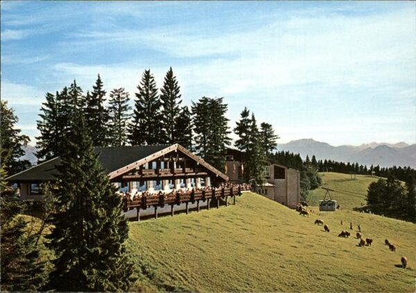 Bregenz Vorarlberg Berghaus Pfänder Viehweide Kuh Kabinenb
