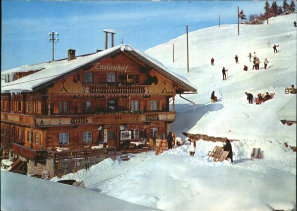 Zell Ziller Tirol Alpengasthof Enzianhof