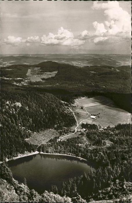Feldberg Schwarzwald Blick von Seebuck auf Feldsee