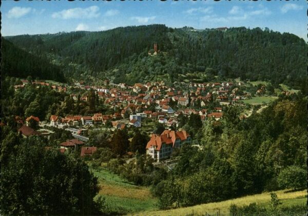 Bad Liebenzell Panorama