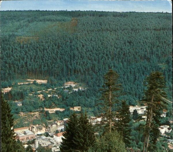 Wildbad Schwarzwald Fliegeraufnahme Heilbad Sommerbergbahn
