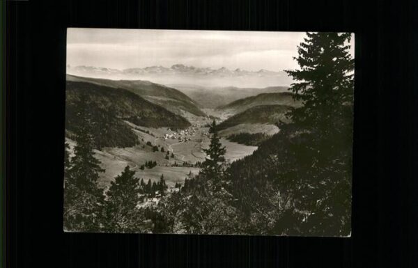 Menzenschwand Panorama mit Alpen