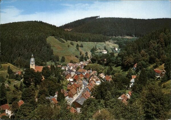 Wildemann Panorama