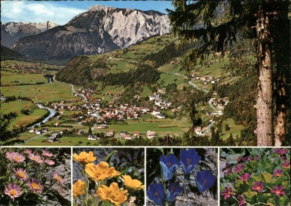 Oetz Panorama Blumen Oetztal
