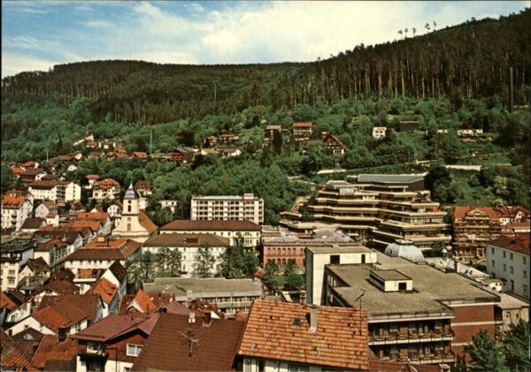 Wildbad Schwarzwald Panorama