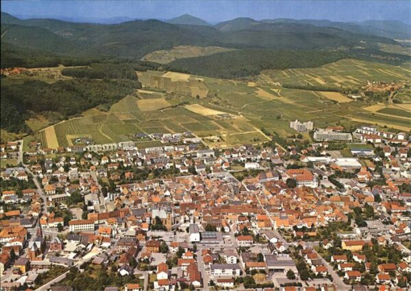 Bad Bergzabern Fliegeraufnahme Panorama