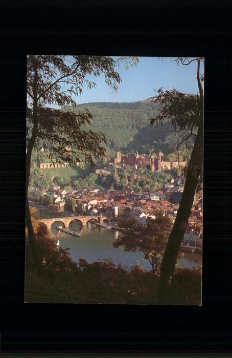 Heidelberg Neckar Blick vom Philosophenweg Panorama Necka