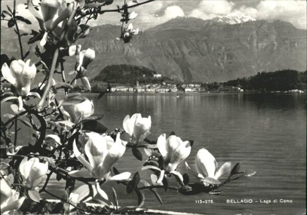 Bellagio Lago di Como Panorama See